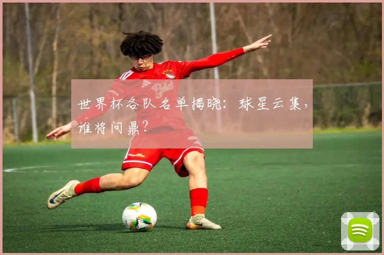 世界杯各队名单揭晓：球星云集，谁将问鼎？